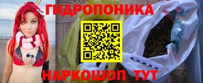 молекула духа Будённовск
