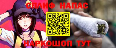 молекула духа Будённовск
