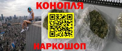 молекула духа Будённовск