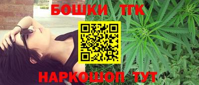 молекула духа Будённовск