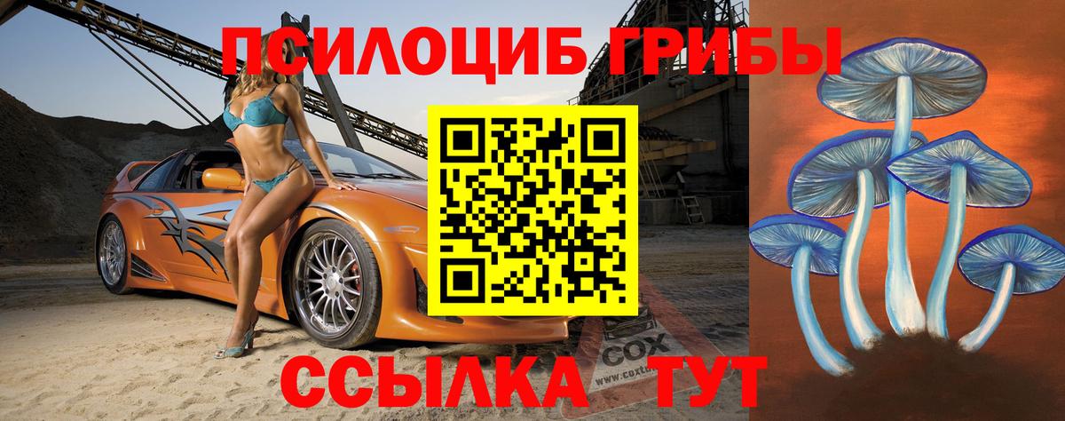 Псилоцибиновые грибы Cubensis  Вход с VPN  Светлоград 